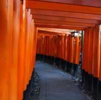 延綿不斷的紅色鳥居隧道⛩️