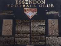 Iconic Stadium in Melbourne 