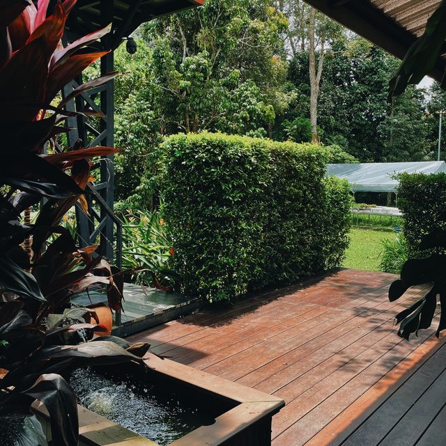 บ้านมังคุด Bann Munkud cafe  