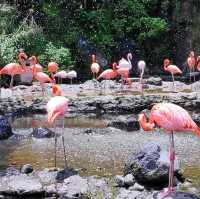 Jatimpark 2