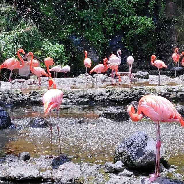 Jatimpark 2