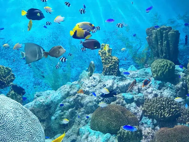 COEX水族館