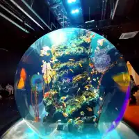 美術館のような水族館　神戸アトア（átoa）