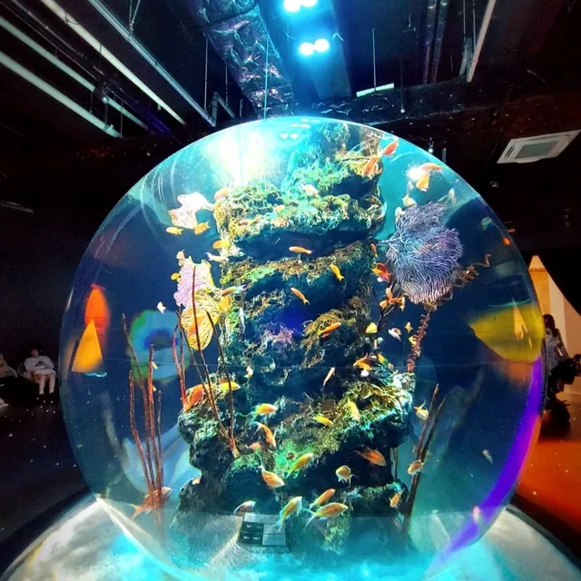 美術館のような水族館　神戸アトア（átoa）