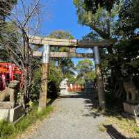 【大阪府】阪神タイガースファンの聖地！？大江神社