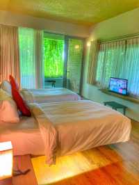 😋Our beautiful hotel in Hoi An💚