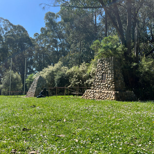 พาเดินป่าที่ Dandenong rages national park 🌳