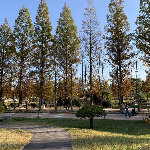 가을이 오면 가장 먼저 생각나는 경주 여행지🍁