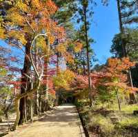 Hakusan Shrine: Serenity in Shiga