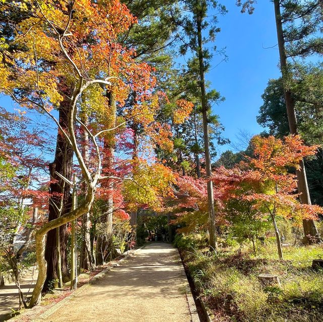 Hakusan Shrine: Serenity in Shiga