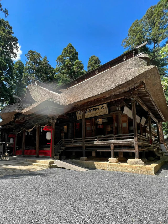 【山形】3羽のうさぎが願いを叶えてくれる熊野大社