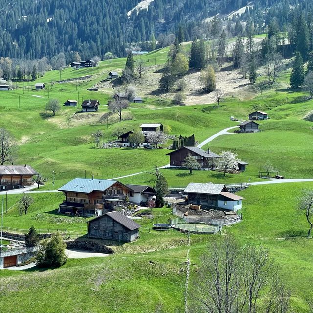 Grindelwald village : Alpine Bliss Unveiled