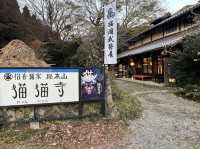 貓貓寺 猫猫主題樂園