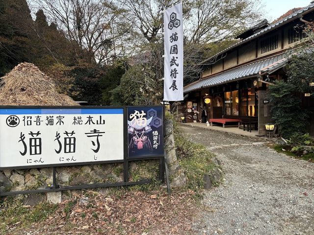 貓貓寺 猫猫主題樂園