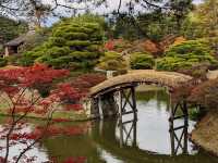 歷史悠久的日本庭園 。桂離宮