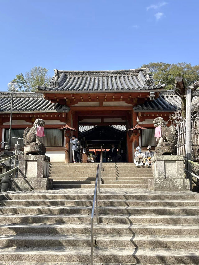 ศาลเจ้าน้ำแข็งไส Himuro Jinja Shrine, Nara