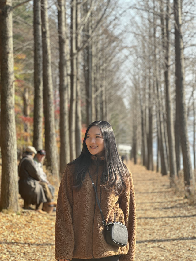 Nami Island Guide in Fall Season