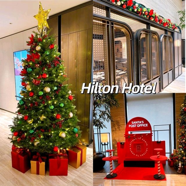 Enchanting Christmas Trees Across the City