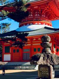 高野山：霊と自然の調和 🏞️🏯