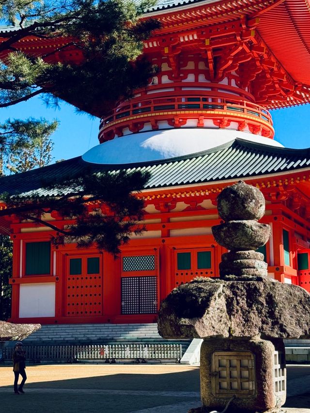 高野山：霊と自然の調和 🏞️🏯