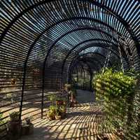 【南アフリカ】ステレンボッシュの植物園！🇿🇦