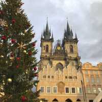 찐 유럽 크리스마스 인생샷 장소 추천🎄🇩🇪