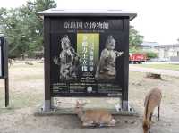 พิพิธภัณฑ์แห่งชาติจังหวัดนารา
