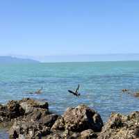 Kereta Bay: Coastal Bliss Revisited