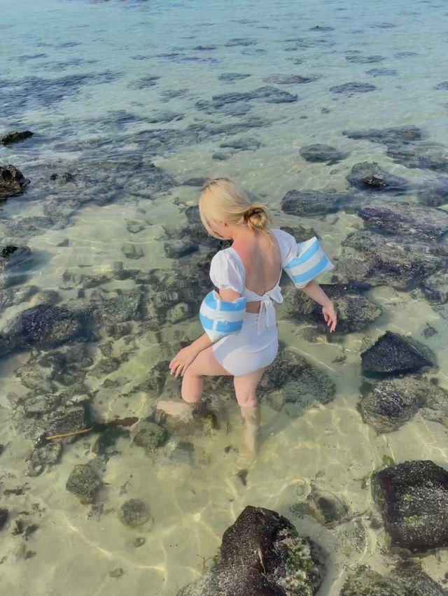 제주 동쪽 에메랄드빛 새화해변🏖