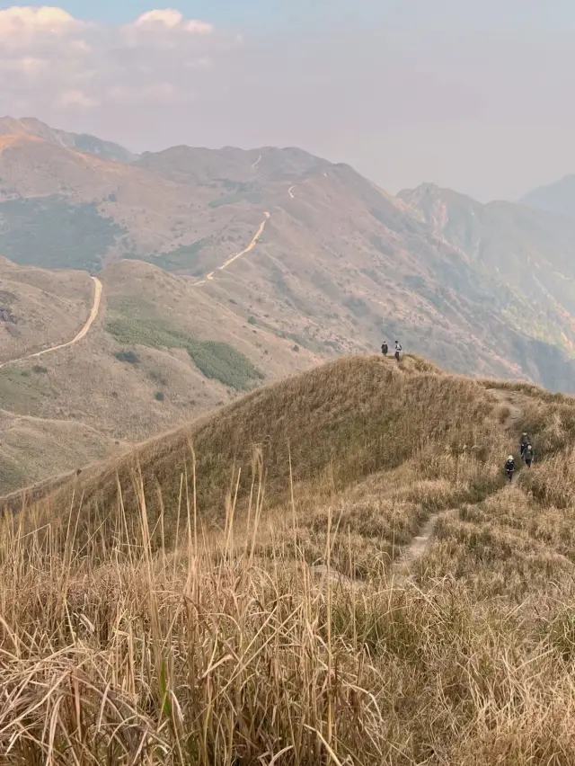 登高望遠，惠州大南山的自然之旅