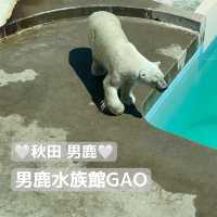 【ロケーション◎】秋田 男鹿 ホッキョクグマに会える！男鹿水族館GAO