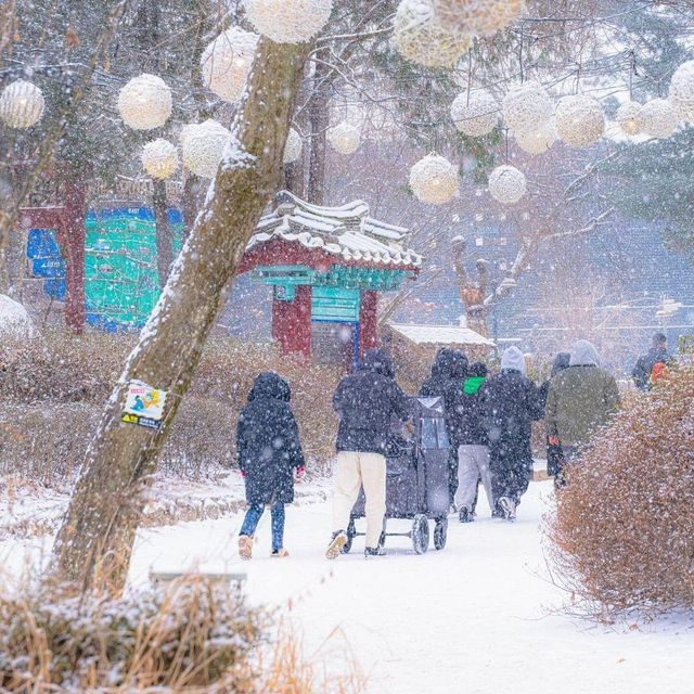 Winter dreams come alive at Nami Island!