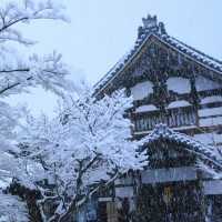 雪裡遊玩😆千光寺