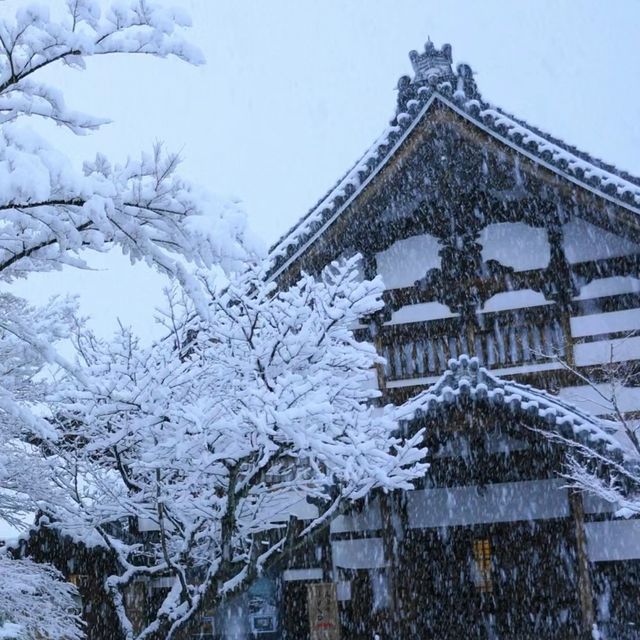 雪裡遊玩😆千光寺