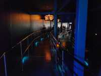 Space Mountain