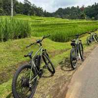 Cycling Through Bali's Jatiluwih