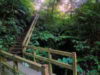 在市區的小森林-富陽自然生態公園