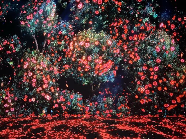 影相好去處！北角K11光影藝術館ʕ •ᴥ•ʔ