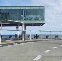 Sea Birds Cafe