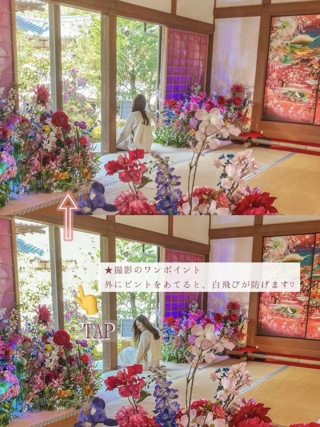 【京都】春の期間限定！「花の間」が今年も開催！より鮮やかで華やかな空間のお寺