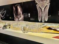 The Australian Museum