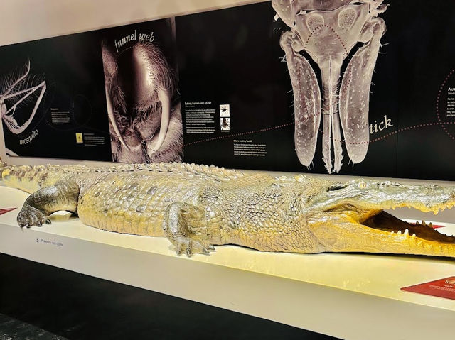 The Australian Museum