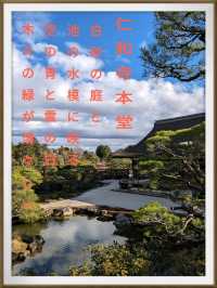 仁和寺の庭や池を眺めるていると、神社とは、また違う…寺院独特の荘厳な美しさを感じる