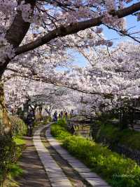 Is this the best spot in Kyoto?