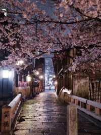 【京都×桜】京都市内無料で満喫No.1ライトアップスポット✨ ※撮影ポイントマップ付き