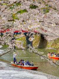 圧巻の桜絶景が盛りだくさん！弘前公園