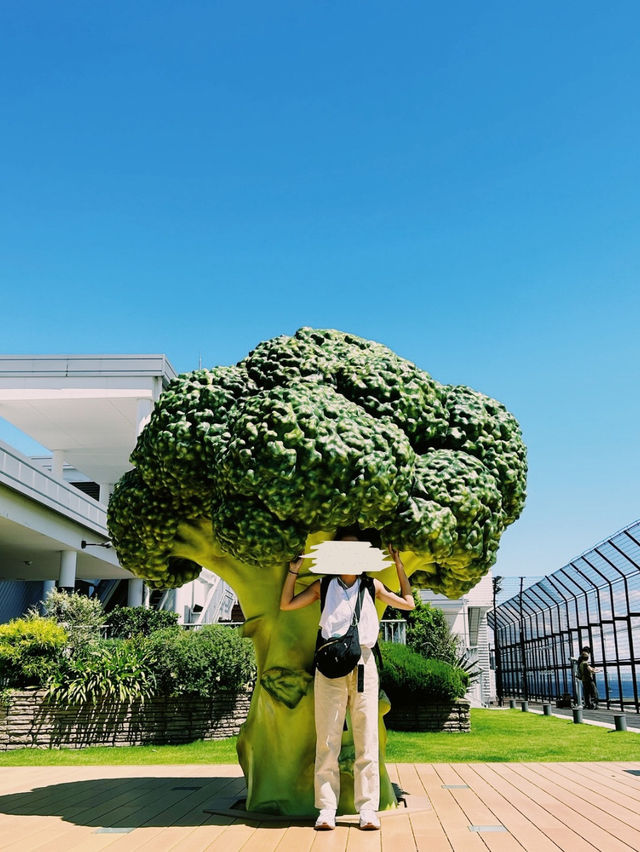 巨大緑🥦から目が離せない