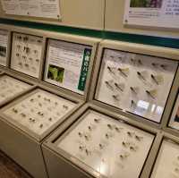 일본여행 오타루시 종합박물관 운하관
