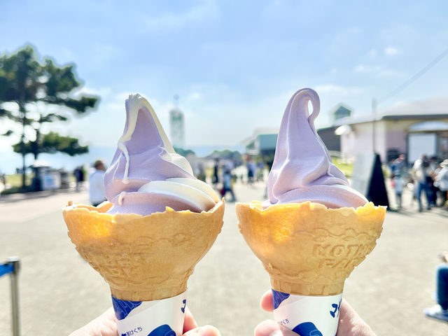 【君津/千葉】お花畑🌸大人も子ども楽しめるスポット