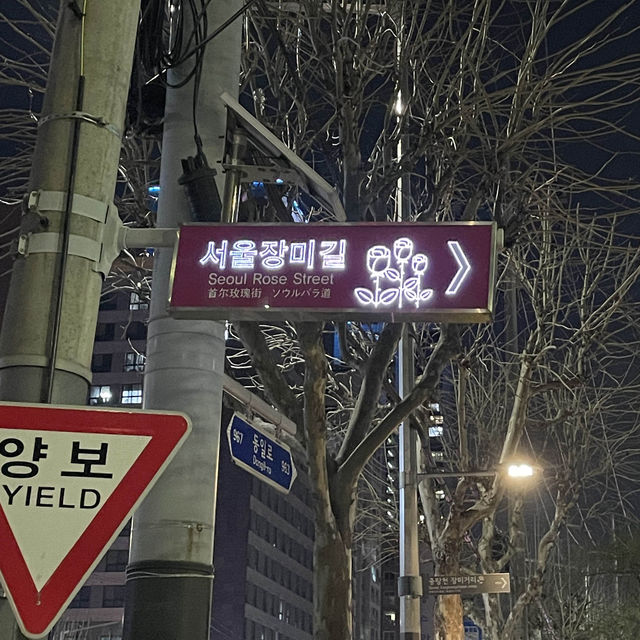한산한 벚꽃 구경 스팟 추천 중랑장미공원💕